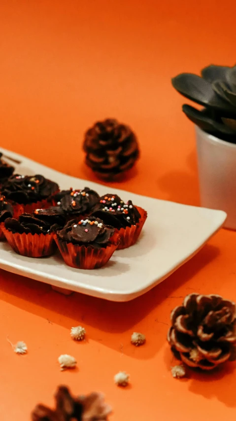 a plate that has some cupcakes on it, by Basuki Abdullah, pexels, hurufiyya, black on red, pinecone, 3 5 mm photo, brown:-2