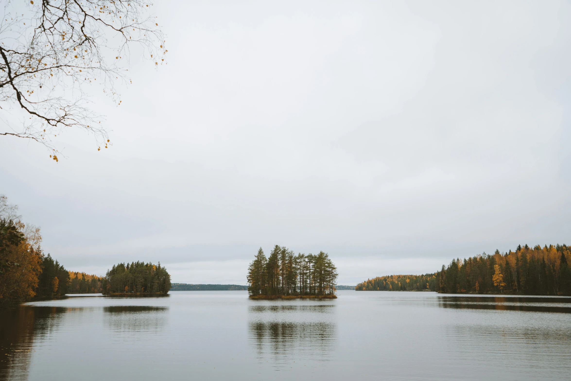 a large body of water surrounded by trees, by Jaakko Mattila, minimalist photo, islands, during autumn, grey
