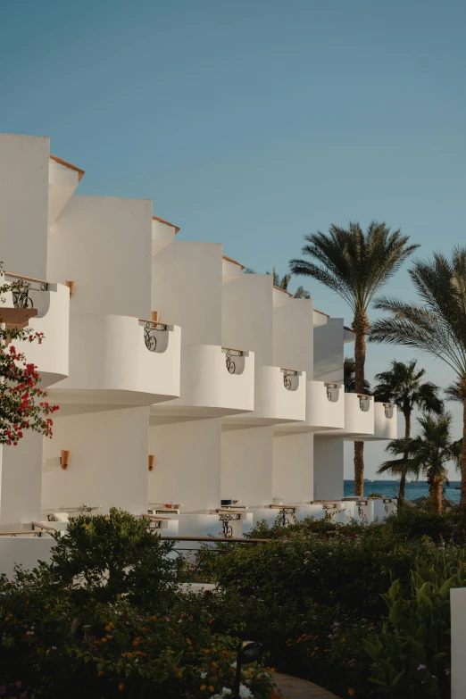 a white building with palm trees in front of it, red sea, parapets, resort, exterior shot