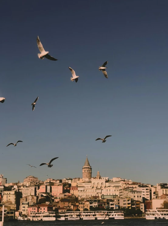 a flock of birds flying over a body of water, by irakli nadar, old city, 4k”, cinematic photograph, 8k ”