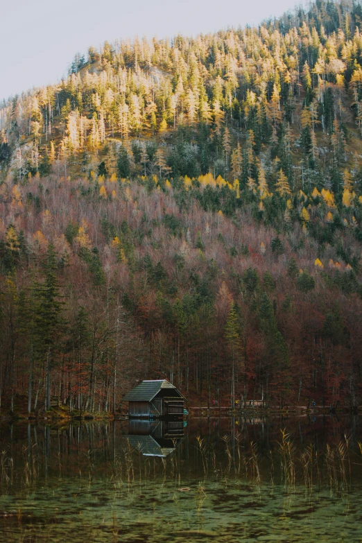 a boat sitting on top of a lake next to a forest, by Sebastian Spreng, unsplash contest winner, wooden house, autum, kodak portra, hut