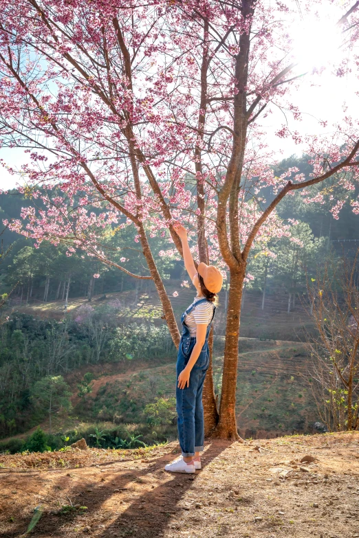 a woman standing next to a tree with pink flowers, towering high up over your view, thawan duchanee, wearing a straw hat and overalls, february)