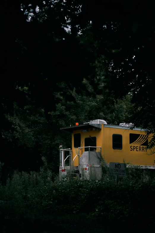 a yellow train traveling through a lush green forest, inspired by Gregory Crewdson, unsplash, speeder, low key, research station, low quality photo