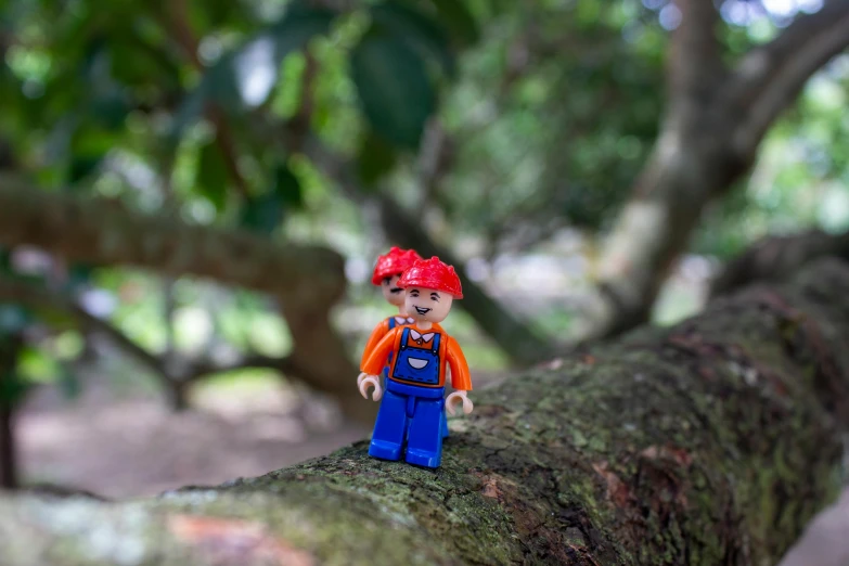 a lego man sitting on top of a tree branch, inspired by Lydia Field Emmet, wearing a red backwards cap, high angle close up shot, chell, mini model