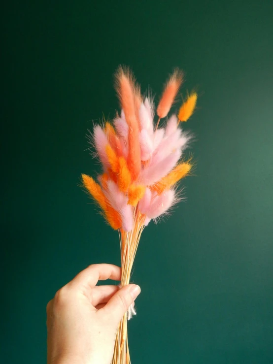 a person holding a bunch of pink and orange feathers, full product shot, tiny sticks, cat tail, very crispy