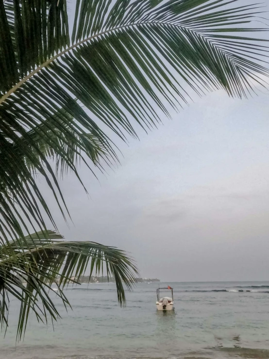 a boat sitting on top of a beach next to a palm tree, grey skies, colombo sri lanka cityscape, low quality photo, multiple stories