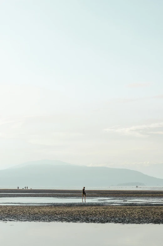 a person standing on a beach flying a kite, by Bedwyr Williams, minimalism, distant mountains, late summer evening, dwell, people