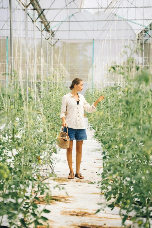 a woman standing in a greenhouse holding a basket, inspired by Eva Gonzalès, unsplash, oman, full body length, rows of lush crops, lined in cotton