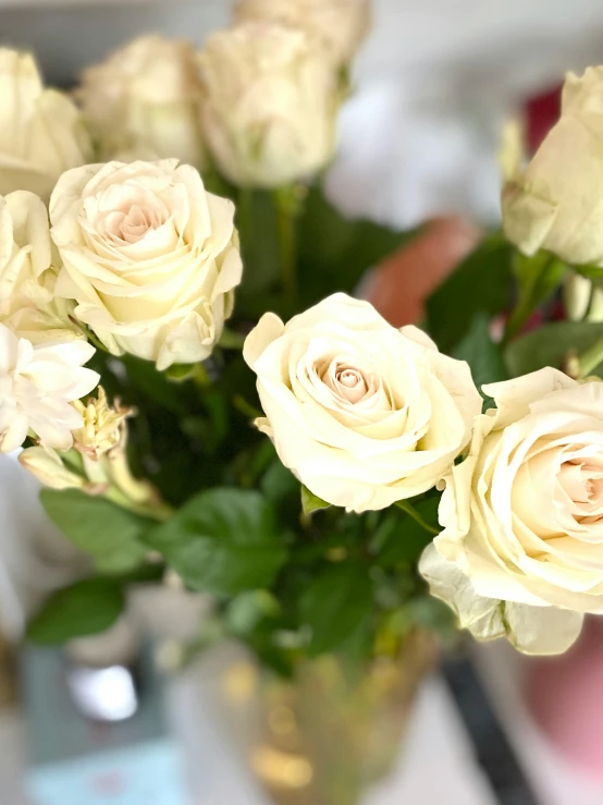 a vase filled with white roses sitting on a table, zoomed in, warm coloured, pastel roses, up-close