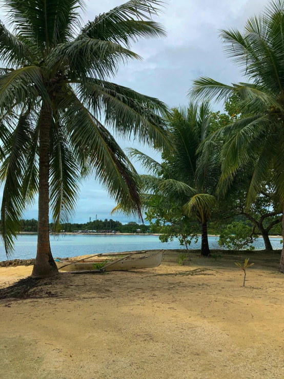 a group of palm trees sitting on top of a sandy beach, river in the background, two medium sized islands, photo taken in 2 0 2 0, beach trees in the background