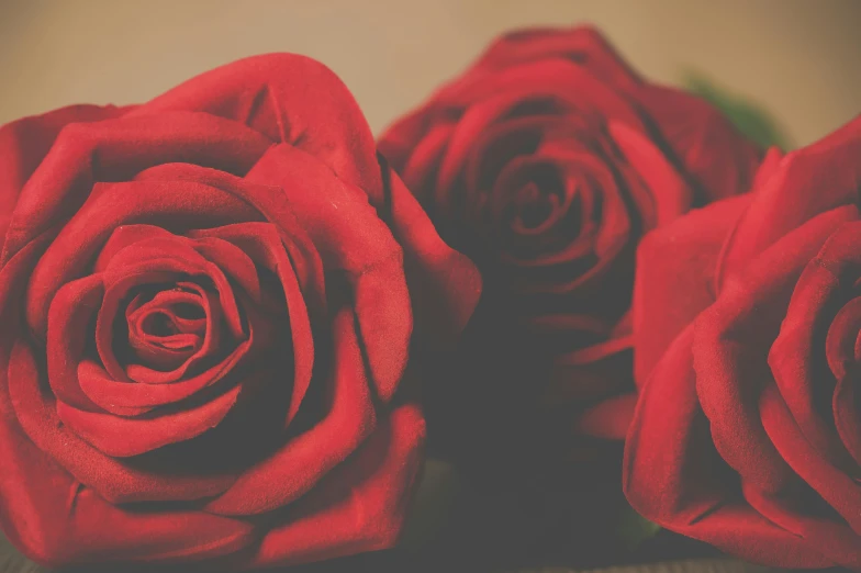 a bunch of red roses sitting on top of a table, a photo, pexels contest winner, romanticism, retro stylised, reddish - brown, intense flirting, instagram picture