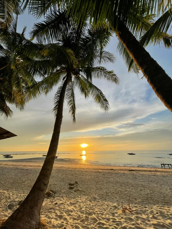 a couple of palm trees sitting on top of a sandy beach, by Robbie Trevino, pexels contest winner, sumatraism, sun sunset, thumbnail, multiple stories, taken on iphone 1 3 pro