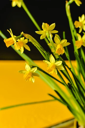 a vase filled with yellow flowers on top of a table, slide show, close up image, daffodils, warm coloured