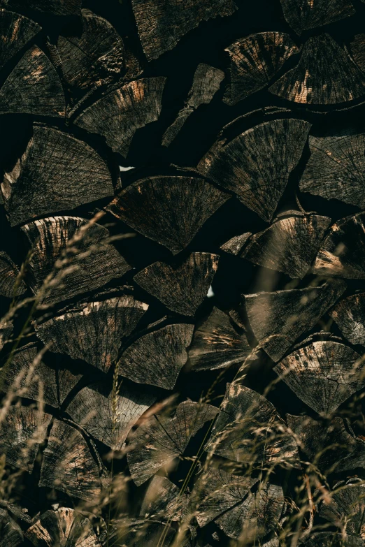 a fire hydrant sitting next to a pile of logs, an album cover, by Attila Meszlenyi, pexels contest winner, conceptual art, camo made of out teeth, dark hues, full frame image, made of leaves