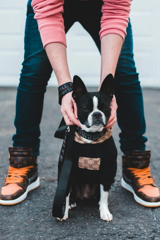 a person is petting a black and white dog, trending on pexels, renaissance, wears brown boots, streetwear, french bulldog, black and orange