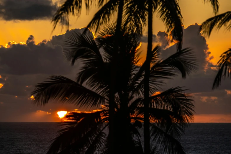 a couple of palm trees sitting on top of a beach, by Daniel Lieske, pexels contest winner, sunset view, jamaican vibe, thumbnail, multiple stories