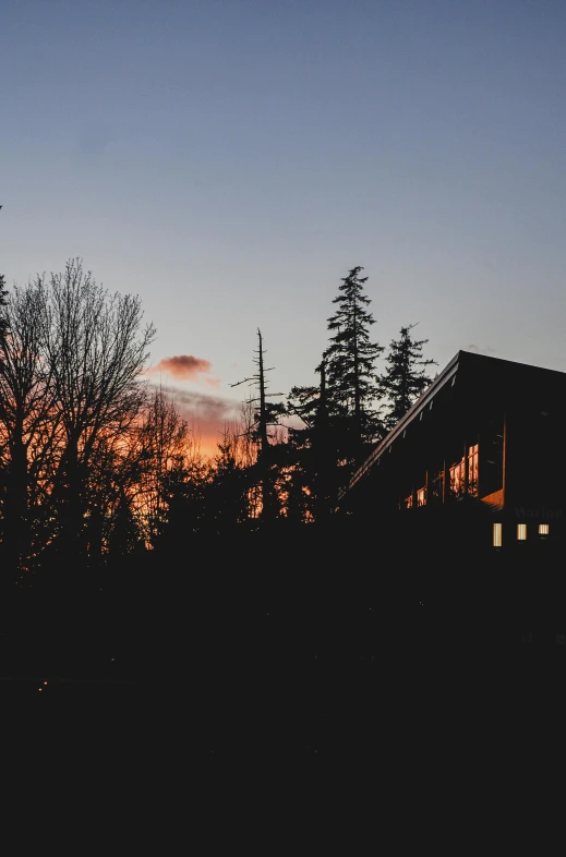 a house sitting in the middle of a forest, by Jessie Algie, unsplash contest winner, vancouver school, sunset sky, black, exterior shot, seasonal