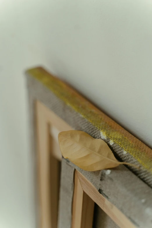 a snake sitting on top of a wooden frame, inspired by Agnes Martin, unsplash, conceptual art, leaves and simple cloth, detail, woven with electricity, yellow and olive color scheme