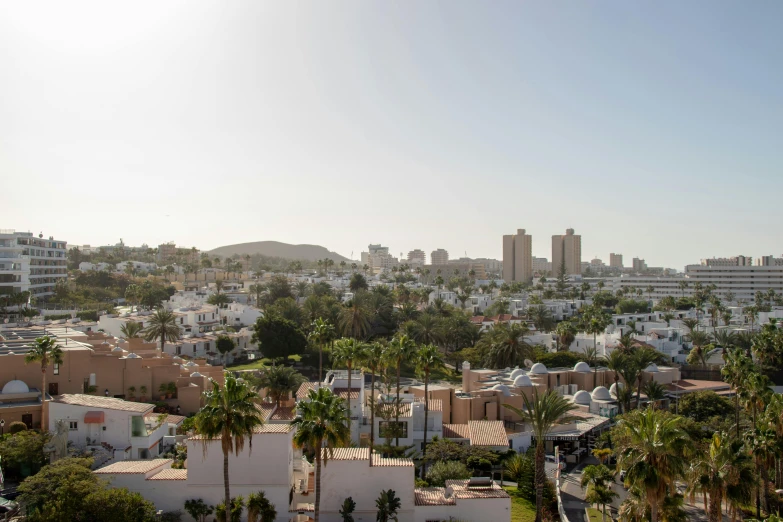 a view of a city with palm trees in the foreground, white buildings, future miramar, thumbnail, ultrawide image