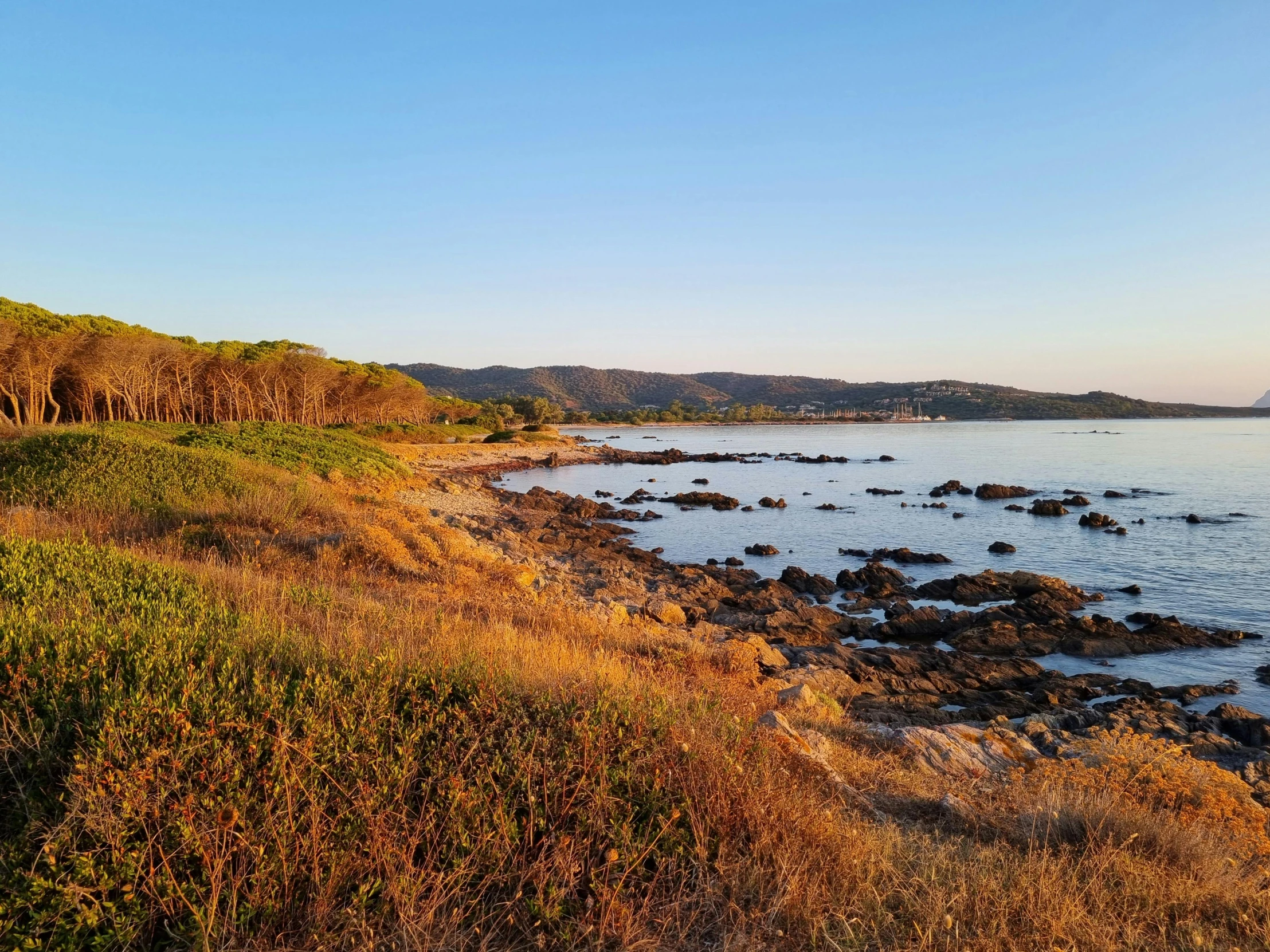 a large body of water next to a lush green hillside, an album cover, unsplash, les nabis, at beach at sunset, rocky grass field, traditional corsican, rocky ground with a dirt path