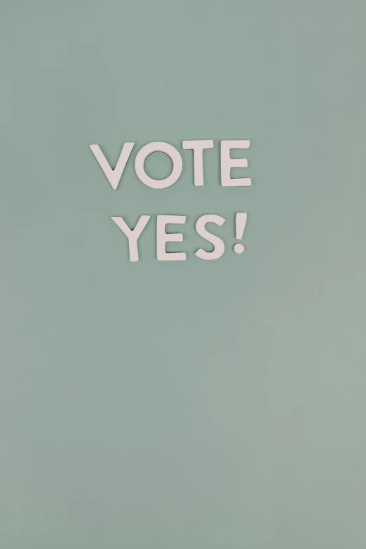 a book with the words vote yes written on it, a poster, by Gee Vaucher, pexels contest winner, teal paper, 1970, gray, dos