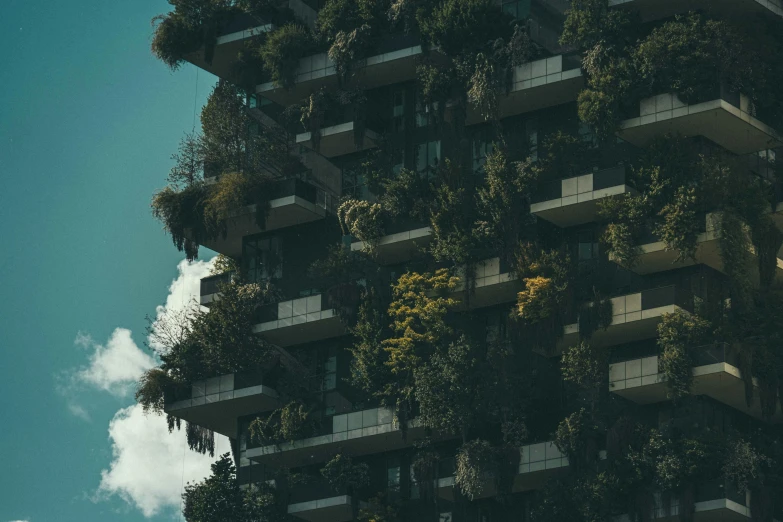a tall building with plants growing on the balconies, a matte painting, pexels contest winner, modernism, ((trees)), unsplash 4k, overgrowth, sustainable