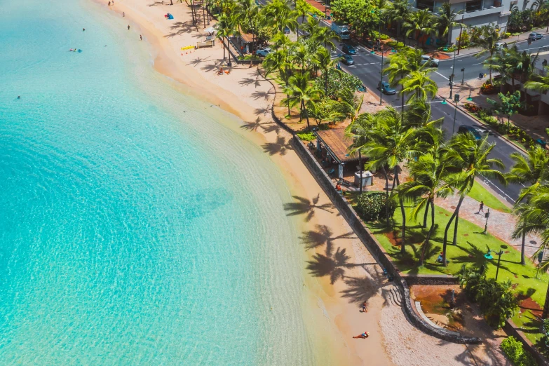 an aerial view of a beach with palm trees, posing in waikiki, crystal clear water, beach setting, lush surroundings