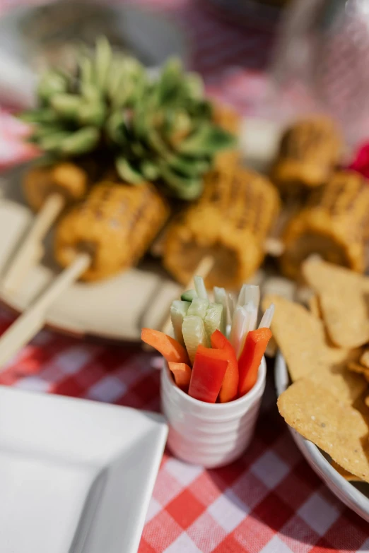 a table topped with plates of food on top of a red and white checkered table cloth, skewer, cowboy themed, having a snack, up close shot