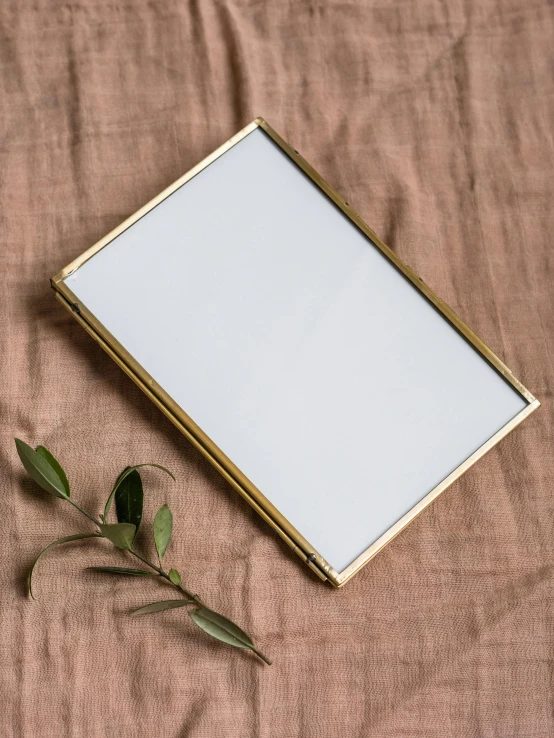 a mirror sitting on top of a bed next to a plant, a still life, by Adam Rex, brass sheet, professional product photo, photograph”, game card frame