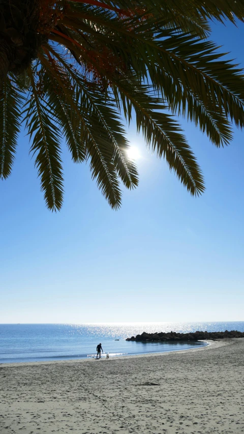 a person standing on a beach under a palm tree, marbella, cloudless-crear-sky, overlooking, the sun is shining. photographic