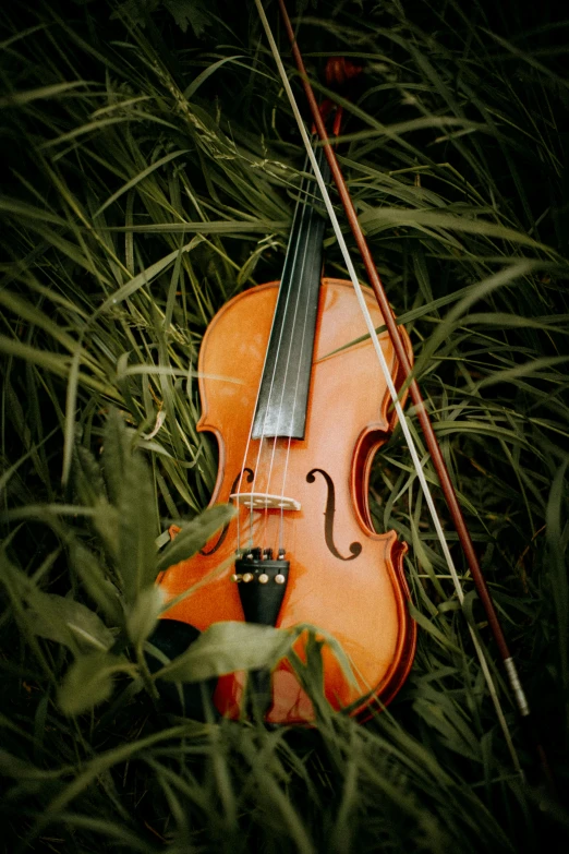 a violin sitting on top of a lush green field, in the grass