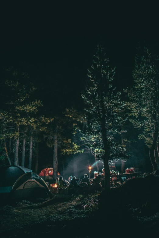 a group of people camping in the woods at night, pexels contest winner, renaissance, concert photo, trees outside, multiple stories, village in the woods