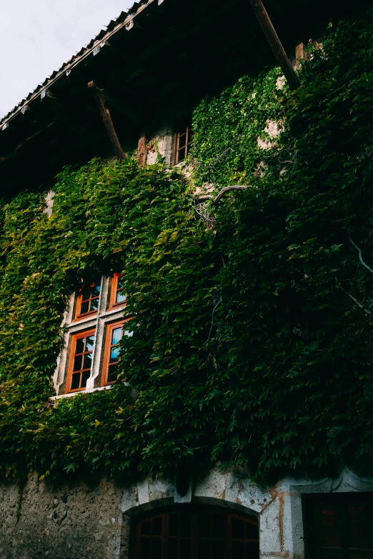 a building with ivy growing on the side of it, a screenshot, inspired by Elsa Bleda, pexels contest winner, renaissance, alpine architecture, brown, exterior view, green vines