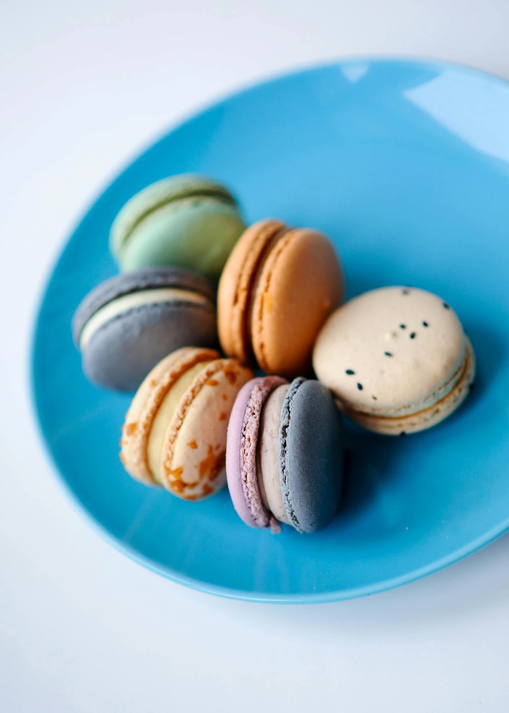 a blue plate topped with macarons on top of a white table, 6 colors, battered, porcelain skin ”, f/2.5
