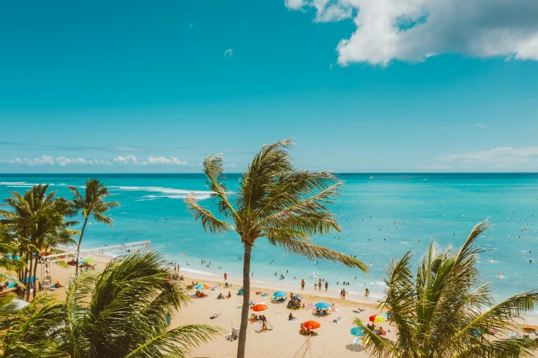 a beach filled with lots of people and palm trees, pexels contest winner, renaissance, waikiki beach, turquoise and orange, view of sea, flatlay