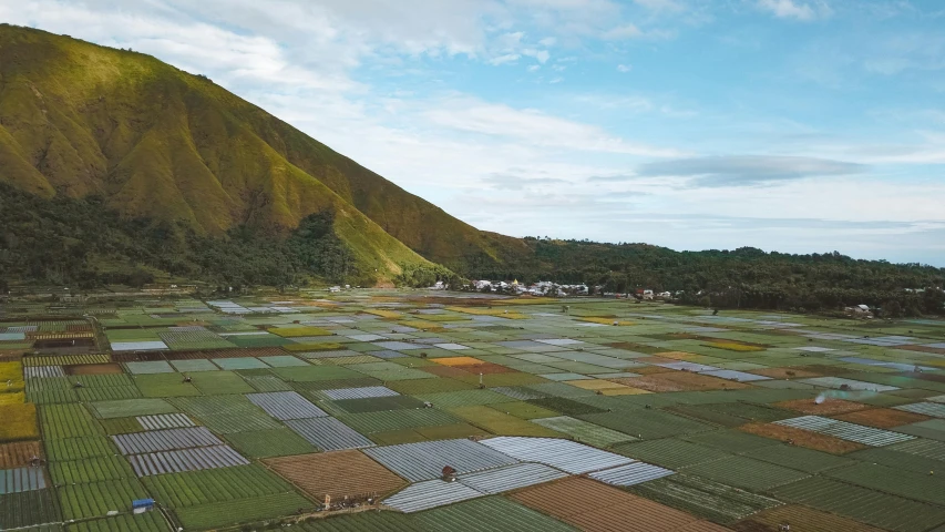 an aerial view of a farm with a mountain in the background, unsplash contest winner, color field, indonesia, square, patchwork, photorealist