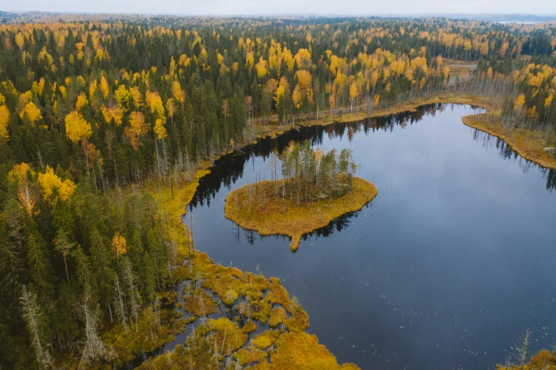 a large body of water surrounded by trees, by Jaakko Mattila, pexels contest winner, land art, mid fall, alexey gurylev, hd footage, wide high angle view