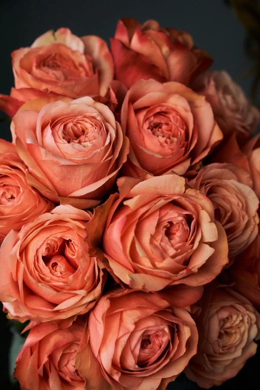 a bouquet of orange roses sitting on top of a table, faded pink, award - winning details, zoomed in, tall