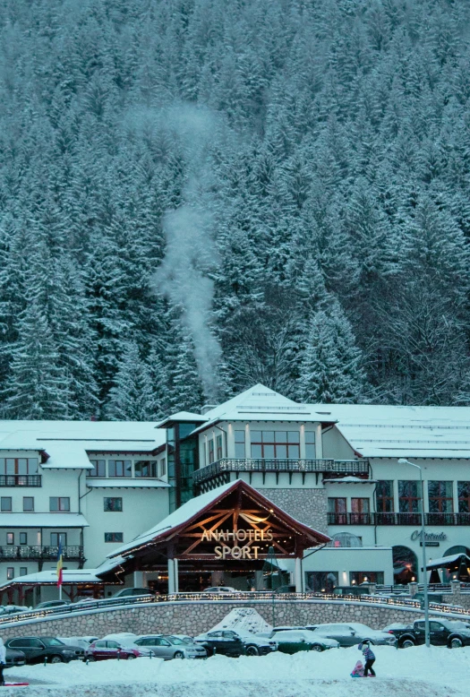 a group of people riding skis on top of a snow covered slope, hotel, snowing in the forest, shops, sportspalast amphitheatre