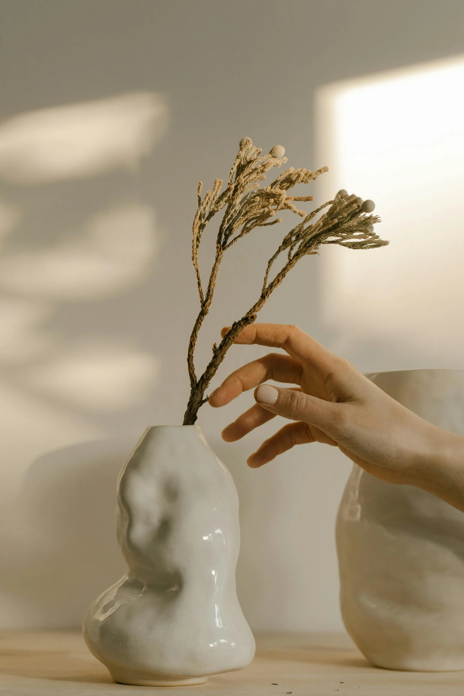 a person holding a plant in a white vase, a marble sculpture, inspired by Kim Tschang Yeul, hands reaching for her, dried flowers, soft light from the side, with soft bushes