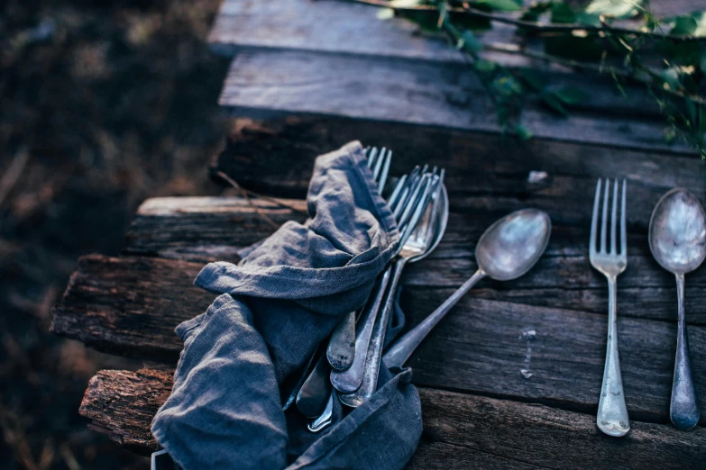 a bunch of silverware sitting on top of a wooden table, a still life, unsplash, setting in nature, dressed in a worn, linen, stainless steal