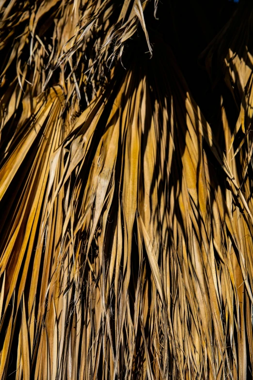 a close up of a straw umbrella with a blue sky in the background, a macro photograph, by Peter Churcher, visual art, tropical leaves, shiny layered geological strata, muted brown yellow and blacks, mexico