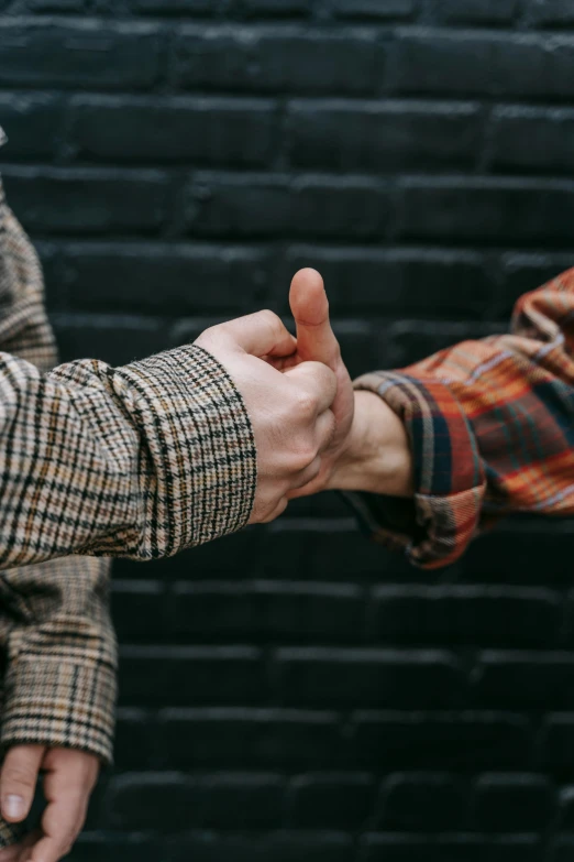 two men shaking hands in front of a brick wall, a colorized photo, trending on pexels, wearing a plaid shirt, hands reaching for her, middle finger, non-binary