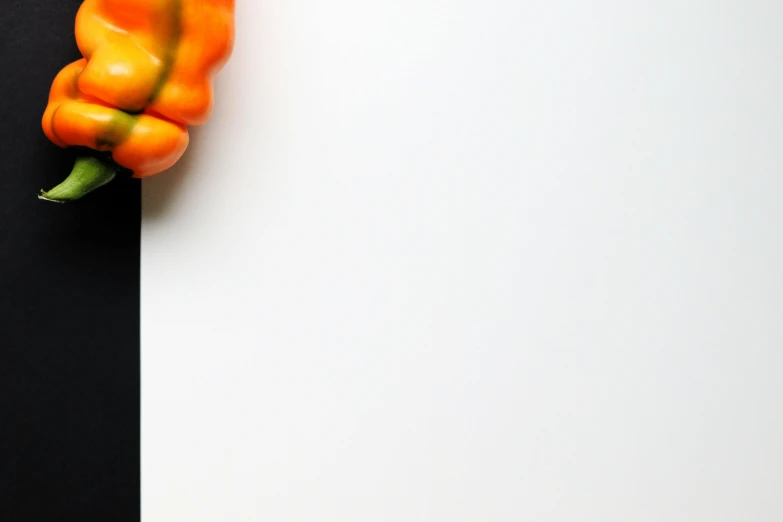 an orange pepper sitting on top of a piece of paper, unsplash, realism, white background wall, background image, halloween, holding a thick staff