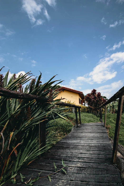 a wooden walkway leading to a yellow house, by Lucas Vorsterman, tropical location, lush countryside, f/2, skies behind