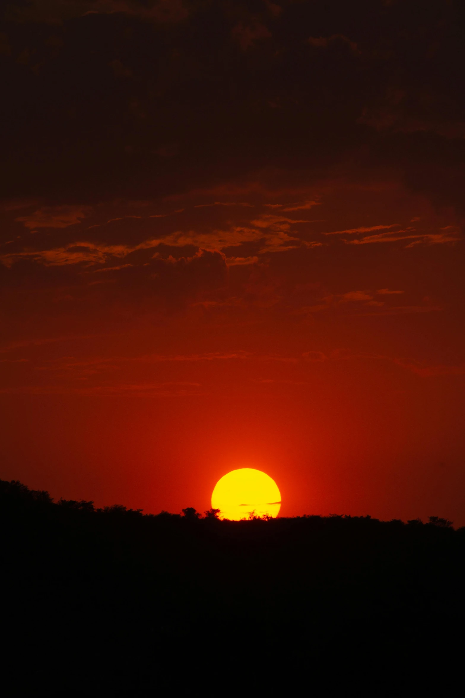 the sun is setting in the dark sky, a picture, by Peter Churcher, digital yellow red sun, savannah, suns