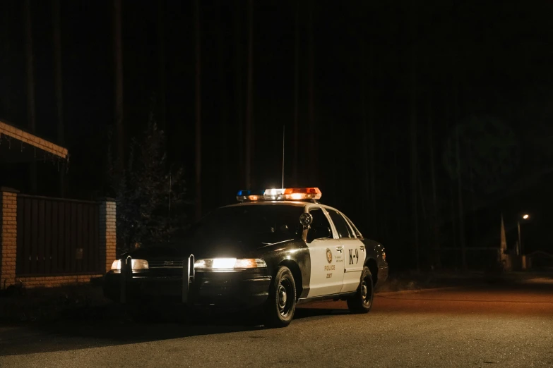 a police car driving down a street at night, a portrait, unsplash, realism, in the woods at night, 2000s photo