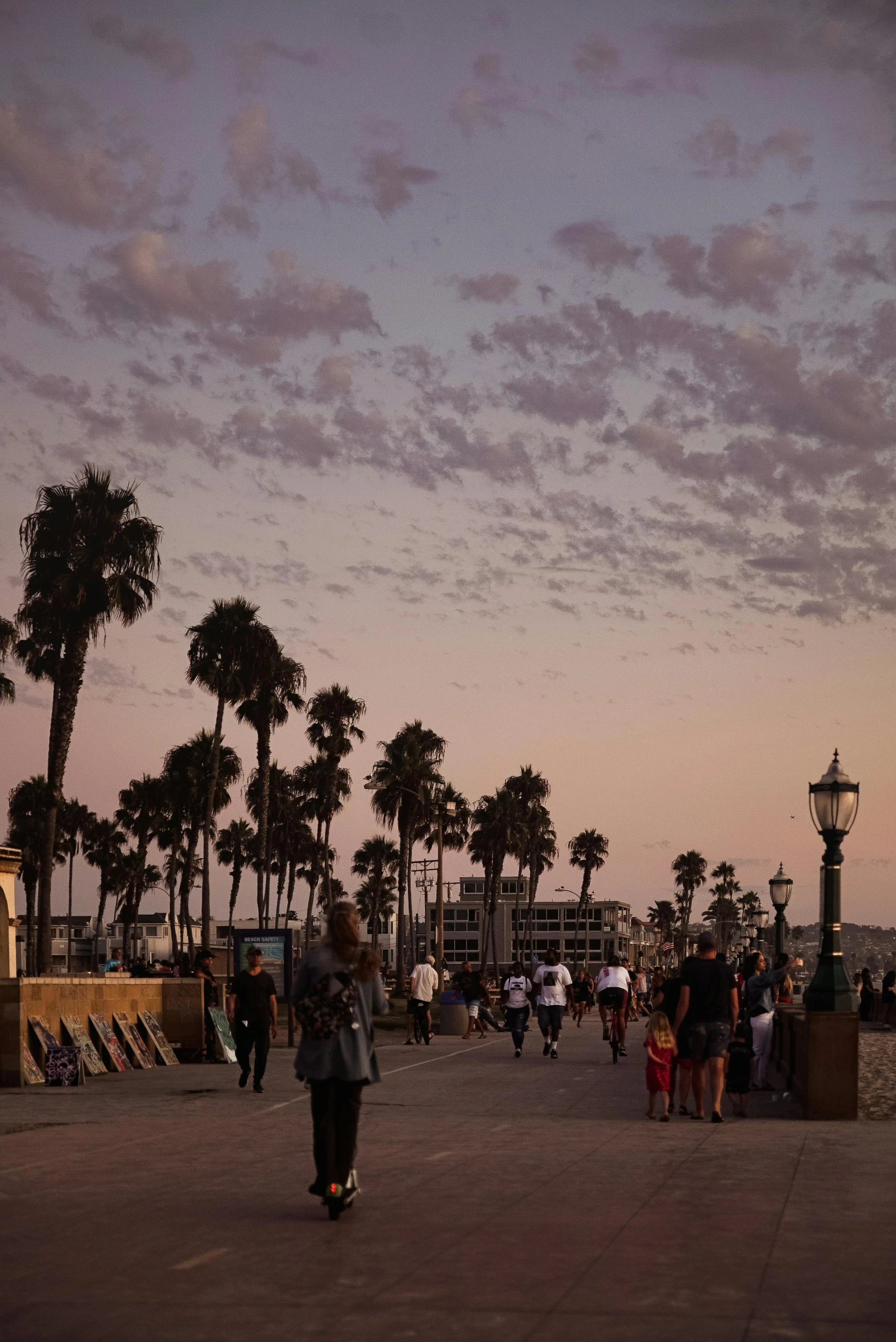 a man riding a skateboard down a street next to palm trees, by Robbie Trevino, pexels contest winner, sunset panorama, people in beach, venice at dusk, cotton candy clouds