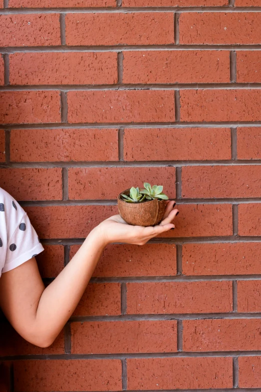 a woman holding a potted plant in front of a brick wall, a picture, shutterstock contest winner, made of cement, brown, small, profile pic