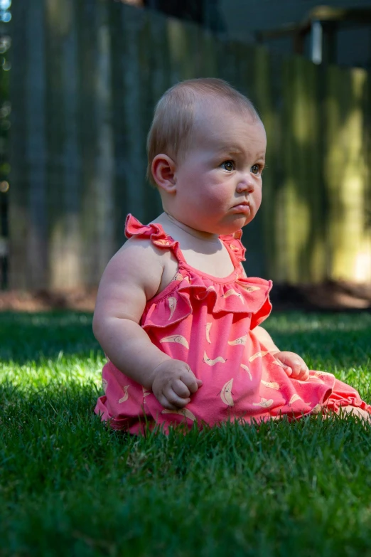 a baby girl in a pink dress sitting in the grass, a portrait, by David Palumbo, shutterstock contest winner, pouting, soft cracks, with a lush grass lawn, taken with canon 5d mk4